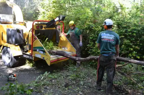 tree services Creston